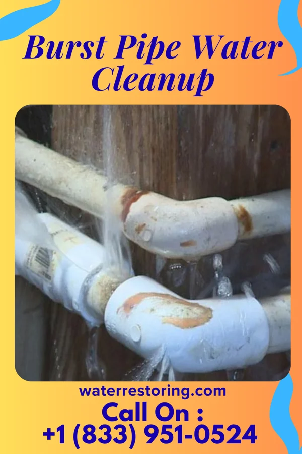 Burst Pipe Water Cleanup in Tulare, CA